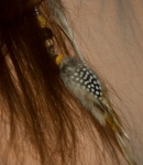 feather close up